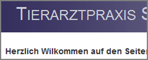 Website-Korrektur Website-Korrektur