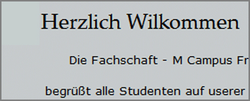 Website-Korrektur Website-Korrektur