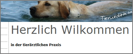 Website-Korrektur Website-Korrektur