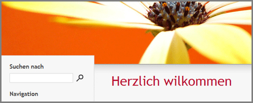 Homepage-Korrektur Homepage-Korrektur