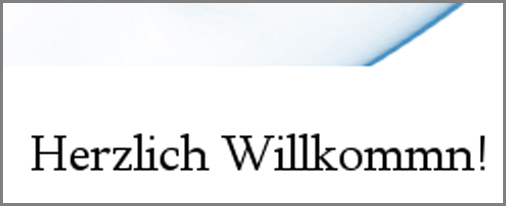 Homepage-Korrektur Homepage-Korrektur