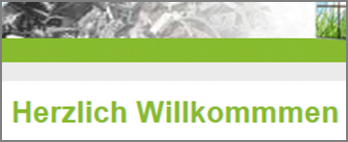 Homepage-Korrektur Homepage-Korrektur
