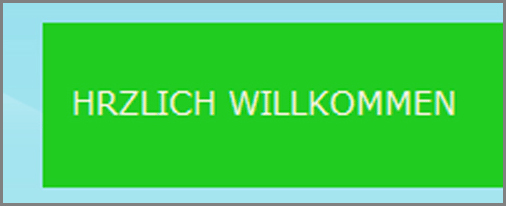 Webseiten-Korrektur Webseiten-Korrektur